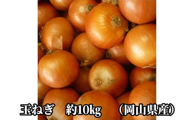 先行予約 玉ねぎ 約10kg（岡山県産） 晴れの国ファーム 野菜 万能 食材 
