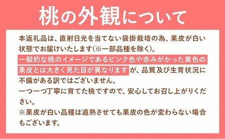 【2026年発送先行予約】桃 岡山県産 岡山の桃 約2.6kg《2026年6月下旬-9月上旬頃出荷》 ご家庭用 訳あり 白桃 岡山 白桃 はくとう スイーツ フルーツ 果物 デザート 旬 岡山県 矢掛町 モモ もも 送料無料 清水白桃 白鳳 白麗---ofn_cwomx_l69_25_24000_2---
