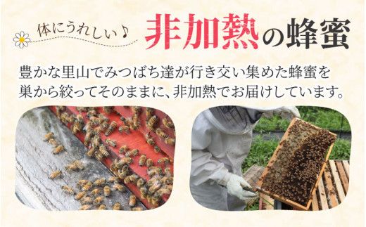 生はちみつ 180g×2本 【ビン】