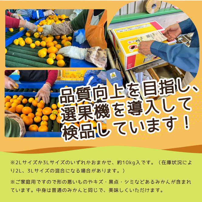 【2026年先行予約】ご家庭用　和歌山 有田みかん 約10kg (2L、3Lサイズ)【湯浅町】_ZJ6079