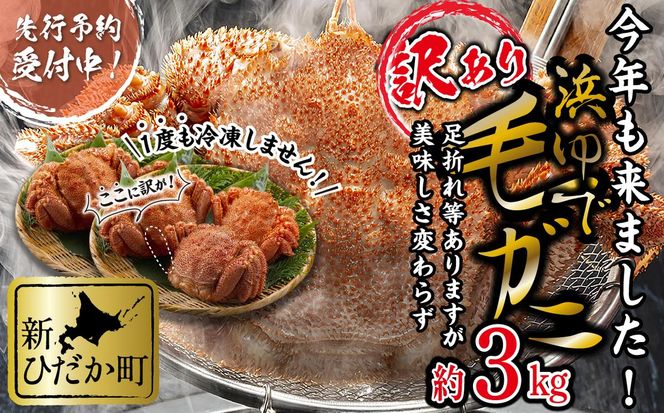 ＜3月10日までの受付＞ 訳あり 北海道産 浜ゆで 毛ガニ 約 3kg ＜2026年2月中旬から順次発送＞ 毛蟹 毛がに かに味噌 カニ味噌 新鮮 旬 ボイル 浜茹で 海鮮 海産物 わけあり 訳アリ 