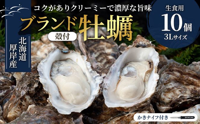 北海道厚岸産 生食用　殻付カキ3Lサイズ10個　マルえもん 魚貝類 海の幸 海のミルク 海鮮 国産 北海道産 オイスター つまみ お酒 あて 肴 生牡蠣 メルマガ掲載商品1 