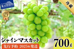 【2025年先行予約】山梨県産 シャインマスカット700g（1房以上）