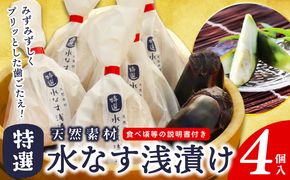 099H3085 【先行予約】「特選最上級品」天然素材水なす浅漬け4個入