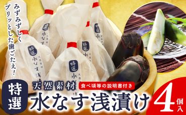 [先行予約/2025年4月上旬以降発送]「特選最上級品」天然素材水なす浅漬け4個入