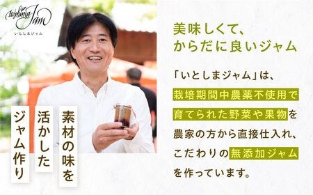 ベジタブル ジャム 詰め合わせ 3個 セット 糸島市 / いとしまジャム [AVF001] ジャム ギフト セット じゃむ 加工品 ソース 瓶 加工品 無添加