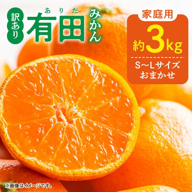 DZ6203_11_【2026年11月発送】ご家庭用 有田みかん 和歌山県産  S～Lサイズ 大きさお任せ 約3kg