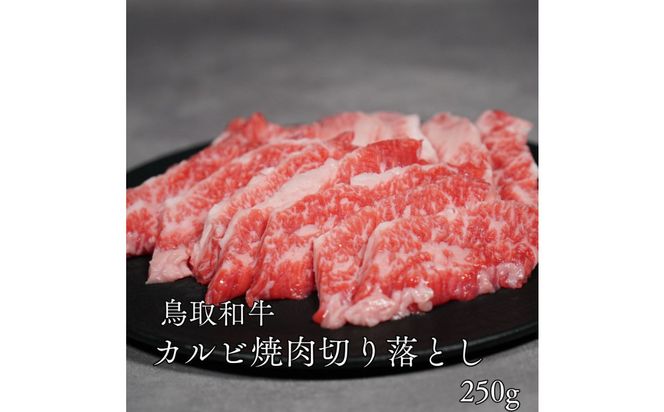 鳥取和牛カルビ焼肉切り落とし　250ｇ 313726_DC005