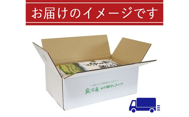 【無洗米】魚沼産川西こしひかり5kg×2
