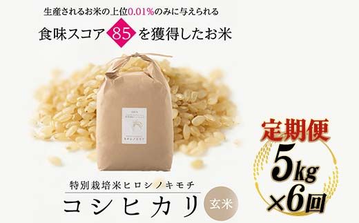 【6回定期】特別栽培米 コシヒカリ ヒロシノキモチ 玄米 5kg 総計30kg 陽咲玲 米 お米 コメ ご飯 ごはん 富山県産 富山県 立山町 F6T-1003