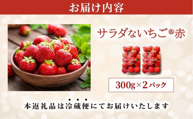 ＜2026年先行予約＞ サラダないちご（赤）【ecg-002】