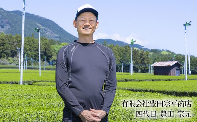 かぶせ茶 粉末緑茶 2パック 粉末緑茶という新提案 抹茶・抹茶ラテと変わらない美味しさを手軽でリーズナブルに  創業130年を超える老舗 豊田宗平商店 【抹茶パウダー  抹茶スイーツ 抹茶ラテ  粉末茶レシピ 老舗  三重県茶 四日市市】