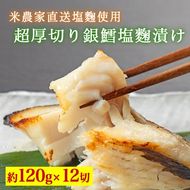 超厚切り銀鱈塩麹漬 12切入 ※北海道・沖縄・離島への配送不可