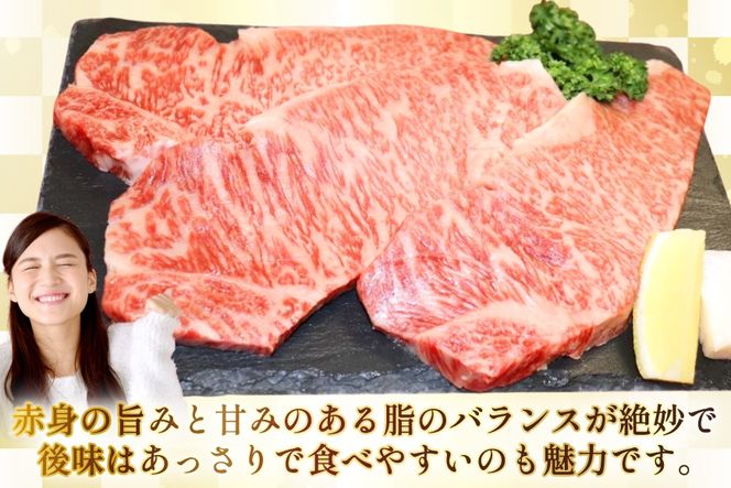 AJ494 長崎和牛 サーロイン ステーキ 約400g(200g×2枚) [ 肉 牛肉 和牛 高級 おいしい ステーキ肉 まるしん商会 黒牛 長崎県 島原市 ]