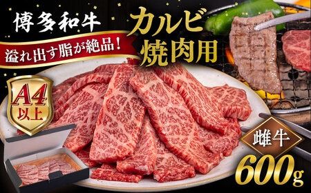 【A4/A5等級】博多和牛 カルビ 焼肉用 600g 糸島市 / ヒサダヤフーズ [AIA050] 牛肉 霜降り 博多 和牛 焼肉 焼き肉 バーベキュー 黒毛和牛 カルビ バラ