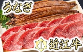 【食卓を豪華に！】近江牛赤身スライス400g＆うなぎ蒲焼2尾セット【D022W】（国産牛　和牛　ブランド牛　ブランド和牛　黒毛和牛　牛肉　肉　高級　人気　おすすめ　神戸牛　松阪牛 に並ぶ 日本三大和牛 近江牛）