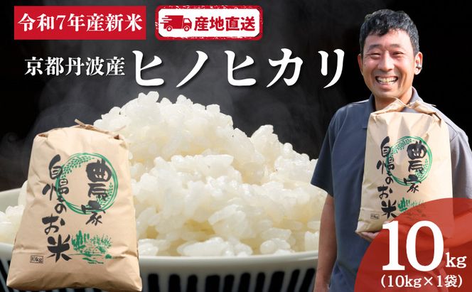 京都　丹波産　ヒノヒカリ　10kg | お米 米 コメ 精米 白米 ご飯 ごはん 京都 南丹市