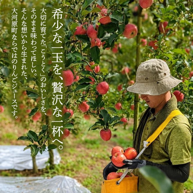 大河原町産こうとく 蜜入りりんごジュース6本セット りんご リンゴ 林檎 ジュース りんごジュース リンゴジュース 飲み物 飲料 果実飲料 フルーツ 果物 くだもの ドリンク 宮城県 大河原町