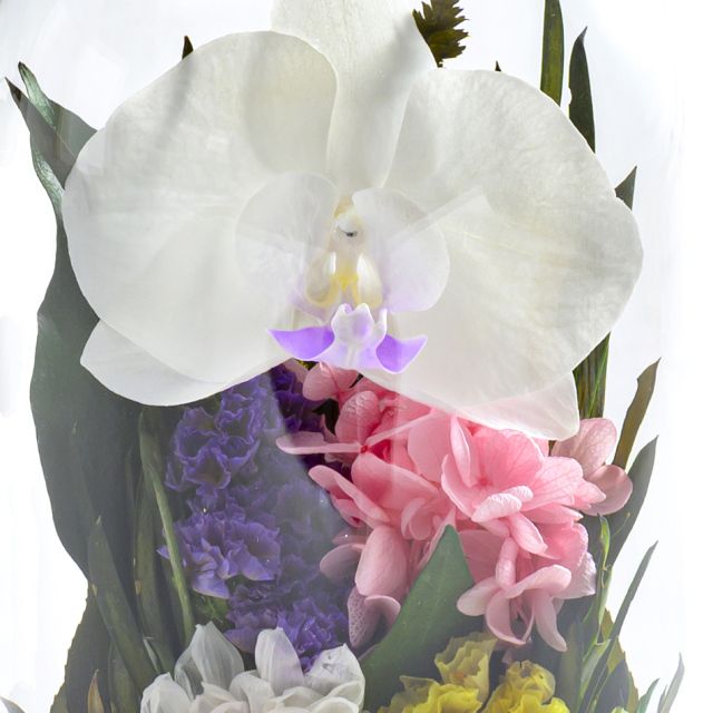 天目 花 お花 プリザーブドフラワー ギフト プレゼント お祝い 誕生日 お供え アレンジ インテリア 東京都 墨田区