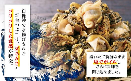 白糠煮つぶ とれたてくん 500g × 3個 つぶ貝 灯台つぶ 塩ゆで ふるさと納税 北海道 白糠町