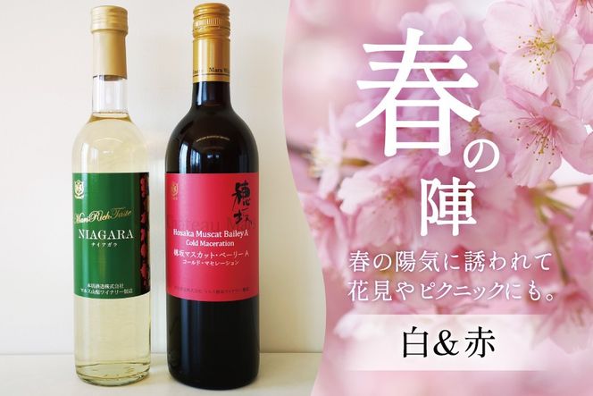 ワイン 赤 白 おまかせ マルスワイン2本セット ～春の陣～ [本坊酒造 マルス穂坂ワイナリー 山梨県 韮崎市 20743117] 赤ワイン 白ワイン 辛口 春のワイン シャトーマルス