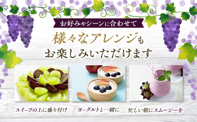 ぶどう 2026年 先行予約 オーロラブラック 2房 1房 500g～600g ご家庭用 ブドウ 葡萄 フルーツ 果物 岡山 赤磐市産 農マル園芸 あかいわ農園 種なし 大粒 高糖度 