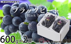 ぶどう 2026年 先行予約 ブラックビート 約600g×2房  ブドウ 葡萄  岡山県産 国産 フルーツ 果物 ギフト 岡山のブドウ デザート 食べ物 日本産 