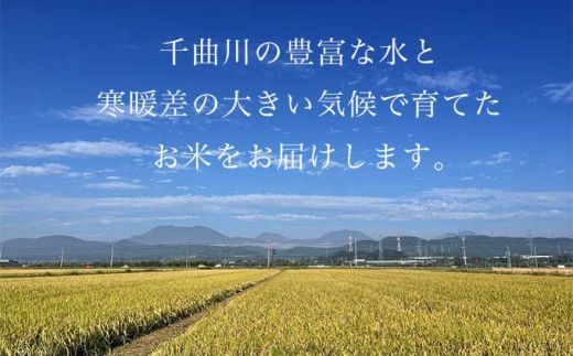 コシヒカリ 白米 玄米 8分つき米  約5kg  約10kg 選べる 精米方法 内容量 ［ おぶせファーマーズ ］ お米 コメ おこめ ご飯 精米 長野県産【2025年11月上旬～発送】 