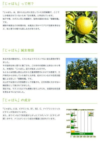 はちみつじゃばら 500ml×2本  邪払 ジャバラ じゃばら じゃばらジュース 北山村／紀伊国屋文左衛門本舗_V7157
