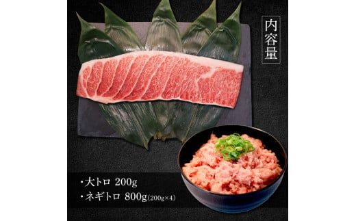 本マグロ 大トロ500g ネギトロ800g(200g×4) ねぎとろ マグロ まぐろ 大とろ 本鮪 本まぐろ 赤身 天然 刺身 刺し身 魚 海鮮 魚介 海鮮丼 ネギトロ丼 お寿司【株式会社大熊】 [BQAA044]
