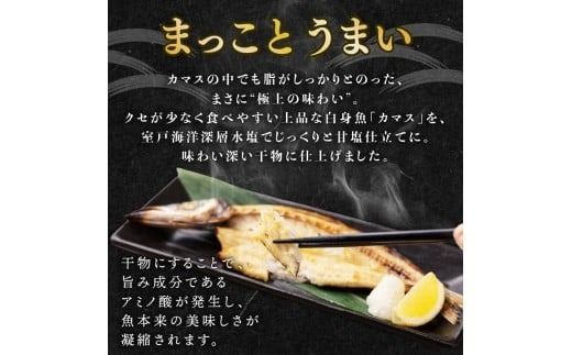 カマス 干物 定期便 トロカマス干物8枚セット｜高知県室戸市 冷凍90日目安 偶数6回/奇数6回/毎月12回