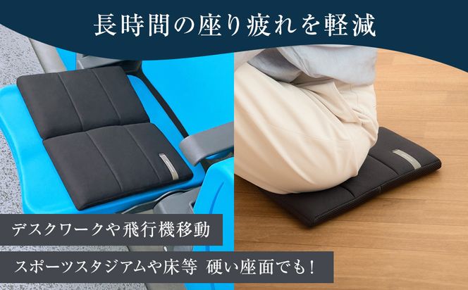 エアウィーヴ キャリークッションmini 232238_T232