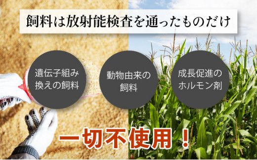登別牛 堪能セット[定期便3回お届け]（サーロインステーキ、肩ロースすき焼き しゃぶしゃぶ用、ハンバーグ）