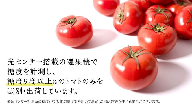 【 訳あり 】 スーパーフルーツトマト 大箱 約2.6kg × 1箱 【大玉 20～35玉】 野菜ソムリエサミット 金賞 糖度9度 以上 野菜 フルーツトマト フルーツ トマト とまと [AF055ci]