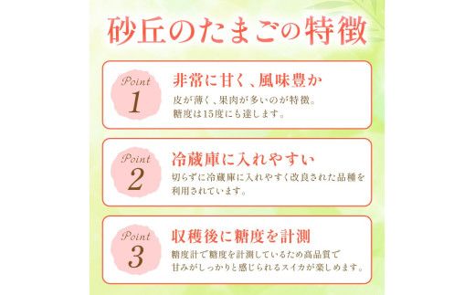 【先行予約／数量限定100】砂丘のたまご（小玉スイカ） 1玉（2026年6月中旬～発送）　JK00032