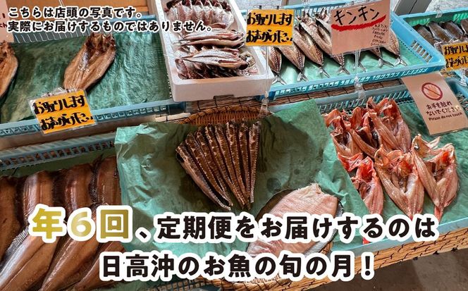 ＜定期便6回＞北海道産 旬の魚介4～5種 お楽しみ定期便