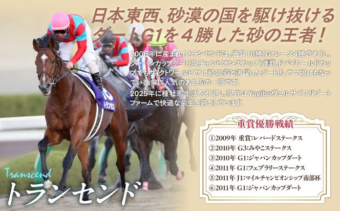 【トランセンド】ショルダーバッグ BRTV152