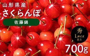 FYN6-617 ≪2027年先行予約≫山形県産 さくらんぼ 佐藤錦 700g(350g×2) 秀品 L以上 バラパック詰め 2027年6月中旬から順次発送 果物 くだもの フルーツ サクランボ チェリー 贈答 贈り物 ギフト プレゼント 自宅 家庭 産地直送 山形県 西川町 月山