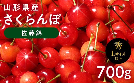 FYN6-617 ≪2027年先行予約≫山形県産 さくらんぼ 佐藤錦 700g(350g×2) 秀品 L以上 バラパック詰め 2027年6月中旬から順次発送 果物 くだもの フルーツ サクランボ チェリー 贈答 贈り物 ギフト プレゼント 自宅 家庭 産地直送 山形県 西川町 月山