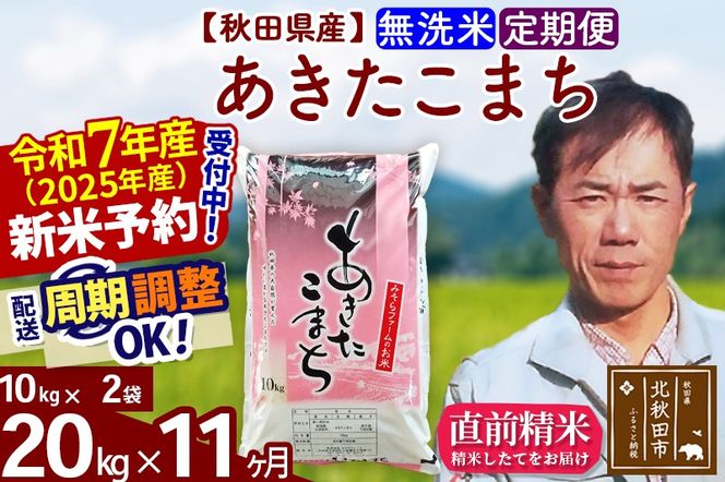 ※令和7年産 新米予約※《定期便11ヶ月》秋田県産 あきたこまち 20kg【無洗米】(10kg袋) 2025年産 お届け周期調整可能 隔月に調整OK お米 みそらファーム|msrf-30811