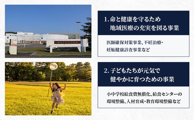 北海道 赤平市 寄附のみの応援受付 100,000円コース（返礼品なし 寄附のみ 100000円）