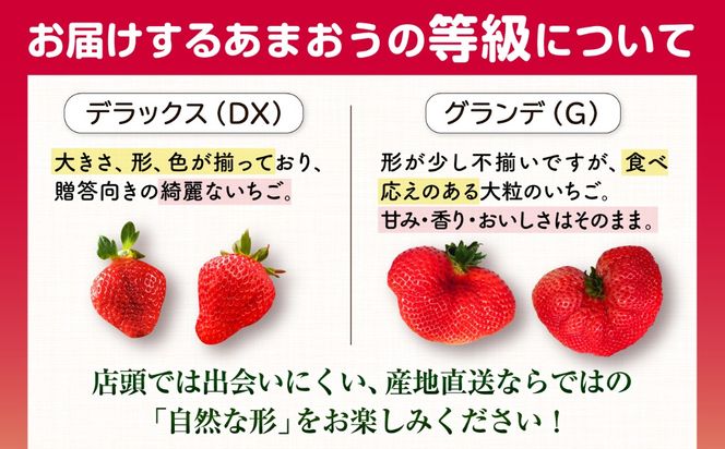 【農家直送！】【先行受付】糸島産 春 あまおう 280g × 4パック  (DXまたはGサイズ)   【2027年1月下旬以降順次発送】糸島市 / 後藤農園 [AML002] いちご 福岡