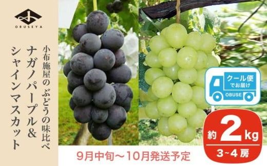 高級ぶどう味比べ詰合せ ナガノパープル ＆ シャインマスカット 約2kg 3～4房 ［小布施屋］ 果物 フルーツ ぶどう 葡萄 詰め合わせ セット 食べ比べ 令和7年産【2025年9月中旬～10月発送】 ［C-1］