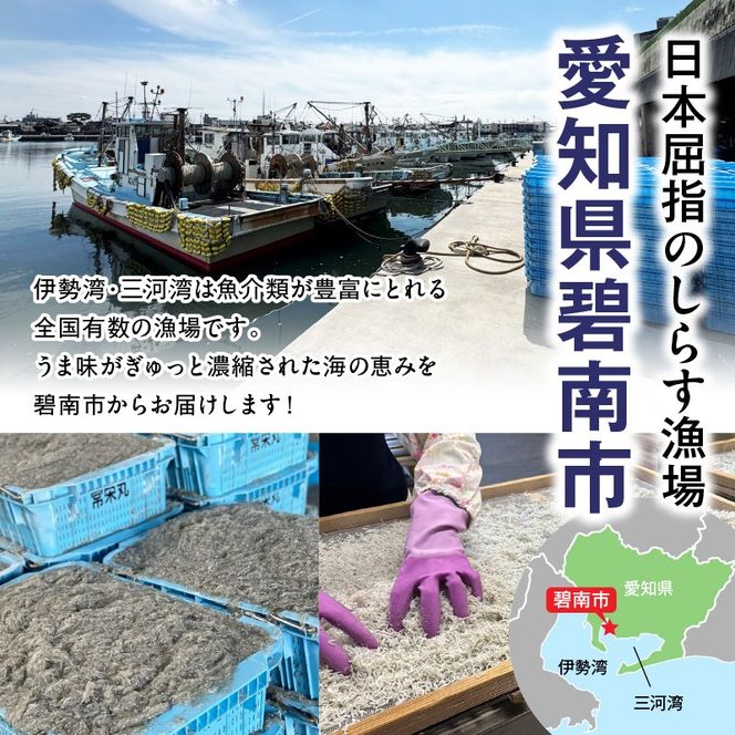 訳あり 3kg！バラエティ豊富な三河しらす H018-069