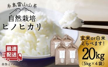 【新米予約受付中】＼令和6年産／自然栽培 ヒノヒカリ 20kg 《糸島》【大石ファーム】 [ATE003]