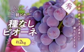 【来年（2026年/令和8年）発送＜先行予約＞】種なし ピオーネ 約2㎏ 先行予約 先行 予約 山梨県産 産地直送 フルーツ 果物 くだもの ぶどう ブドウ 葡萄 新鮮 人気 おすすめ 国産 贈答 ギフト お取り寄せ プレゼント お供え お見舞い お中元 御中元 暑中見舞い 山梨 甲斐市 令和8年発送分 AV-34