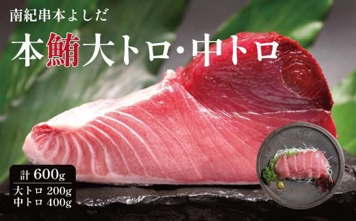 南紀串本よしだ 本鮪 大トロ サク 200g 中トロ サク 400gセット 303446_DR001