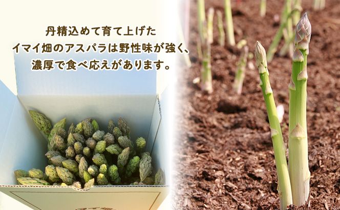 【2026年5月～発送】半農半画家 イマイ畑 自慢の≪アスパラガス 2kg M-2Lサイズ混合≫ 露地栽培 北海道 富良野市 (イマイカツミ) 野菜 アスパラ 健康 太い 安心 道産 産地直送 