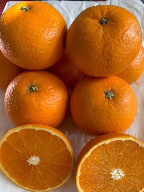 完熟清見オレンジ 赤秀品 5kg（М・L・2L/サイズ指定不可） CC27