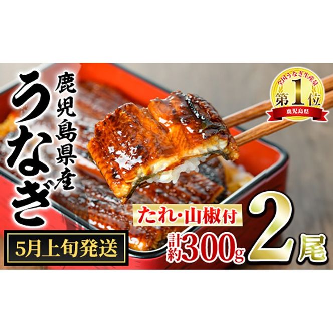 【0134332a-2605】＜5月上旬発送予定＞東串良町のうなぎ蒲焼(無頭)(2尾・計約300g・タレ、山椒付) うなぎ 高級 ウナギ 鰻 国産 蒲焼 蒲焼き たれ 鹿児島 ふるさと 人気 【アクアおおすみ】